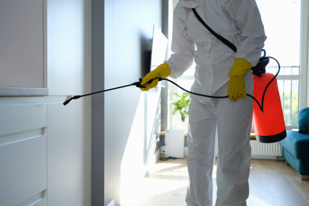 Best Certified Mold Removal  in Pahrump, NV