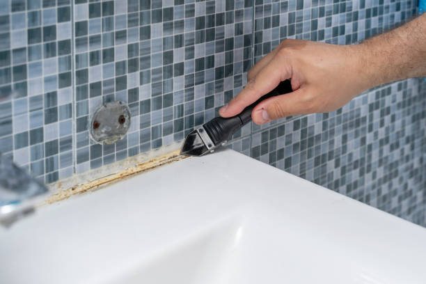 Best Attic Mold Removal  in Pahrump, NV