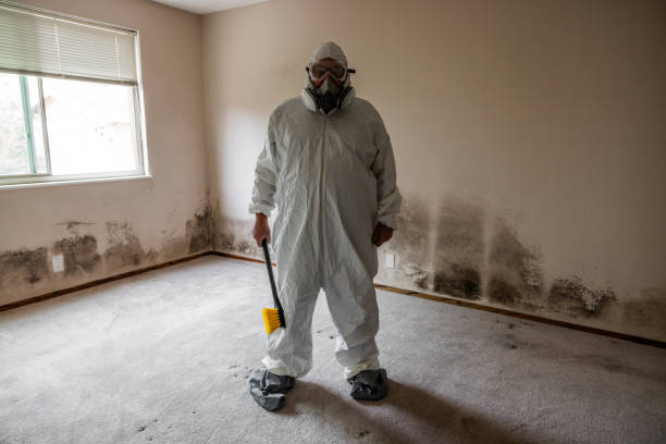 Best Commercial Mold Removal  in Pahrump, NV